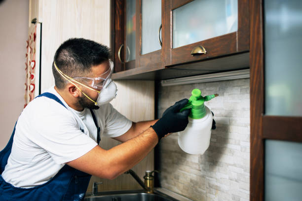 Best Pest Control Treatment  in Rochester, IN