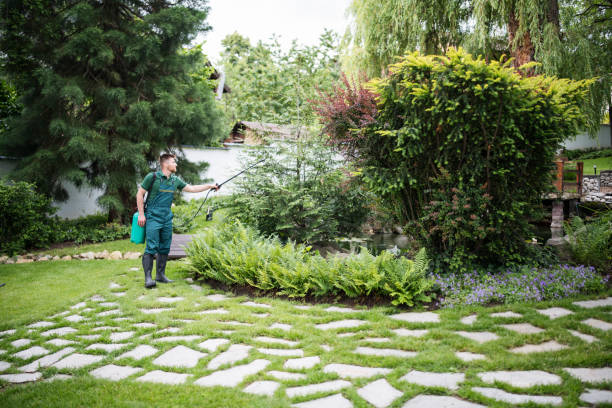 Best Pest Inspection Near Me  in Rochester, IN