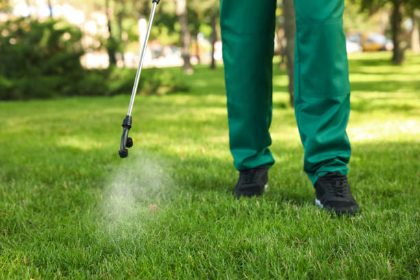 Trusted Rochester, IN Pest Control Experts