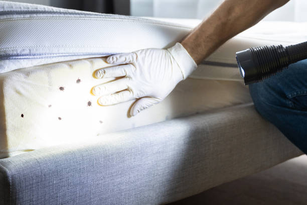 Best Best Pest Control Companies  in Rochester, IN