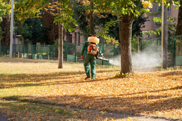 Best Wildlife Control Services  in Rochester, IN