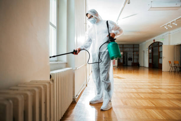 Best Termite Control Services  in Rochester, IN