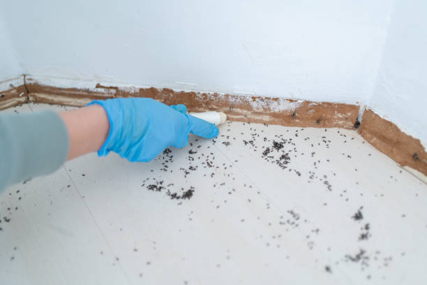Trusted Rochester, IN Pest Control Experts