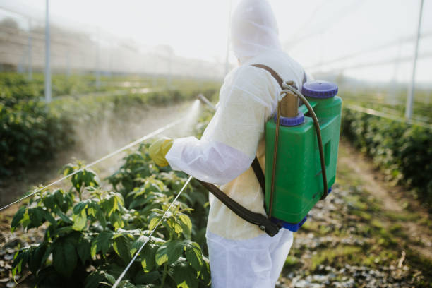Best Mosquito Control Services  in Rochester, IN